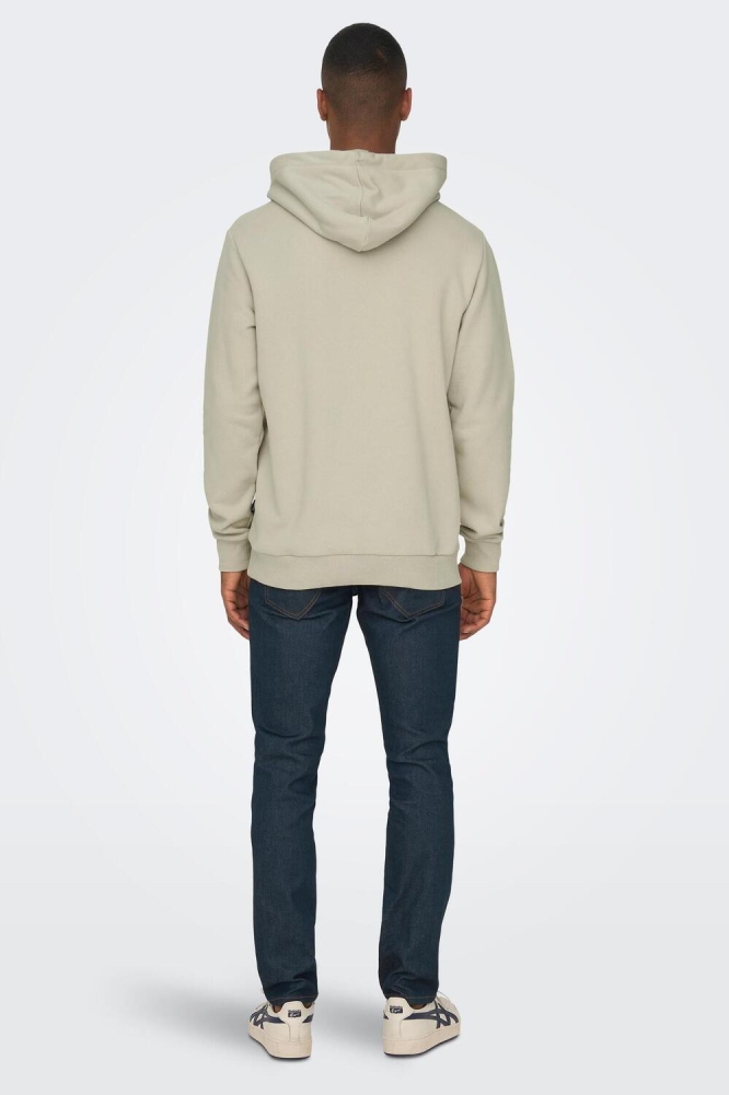 ONSCERES HOODIE SWEAT NOOS 22018685 Silver Lining